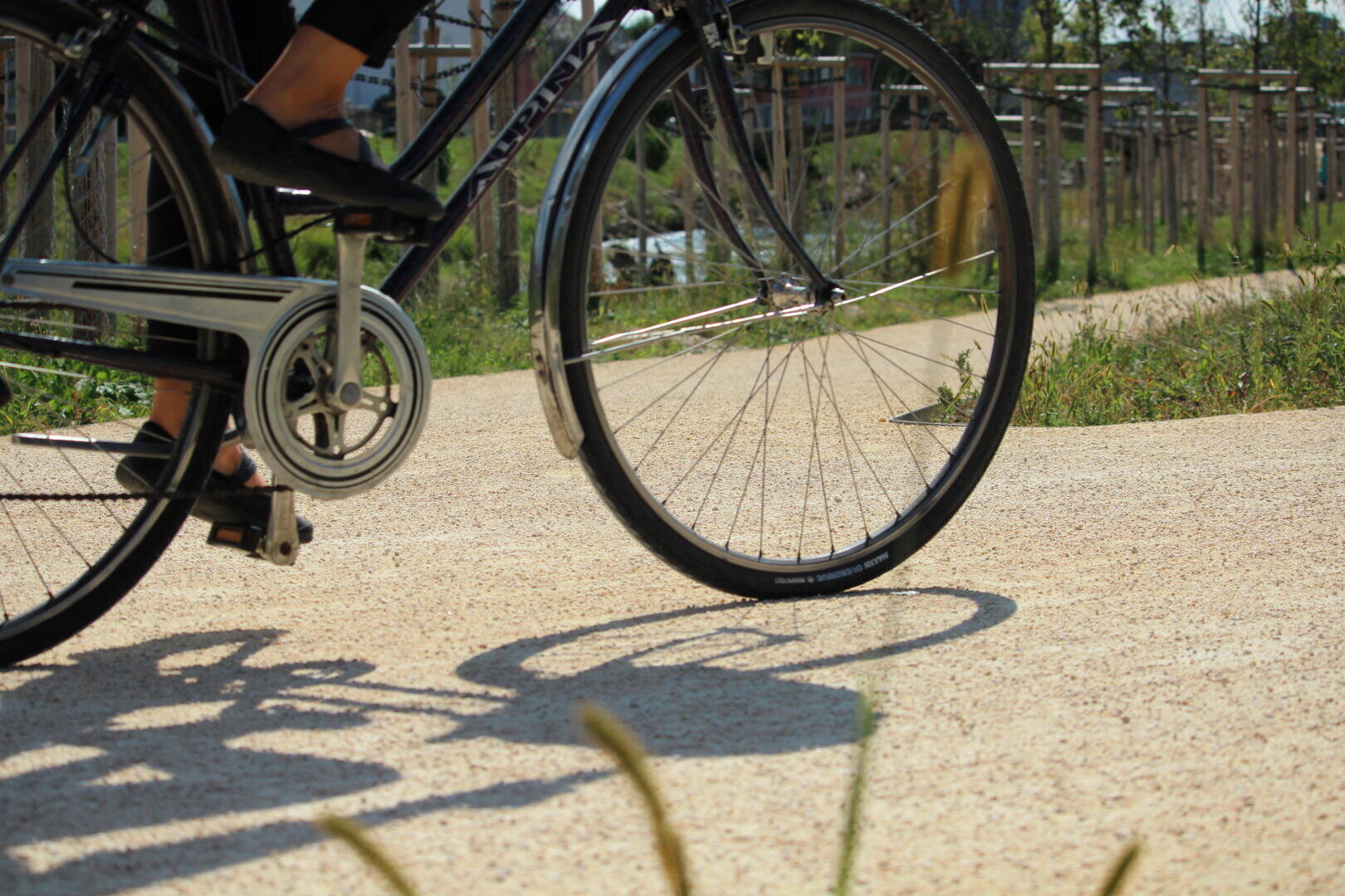 Eine Nahaufnahme einer Person, die auf einem sonnigen, gepflasterten Weg im Grünen Fahrrad fährt. Nur der untere Teil des Radfahrers und das Vorderrad sind sichtbar. Die Schatten des Fahrrads und des Fahrers werden auf den Weg geworfen.