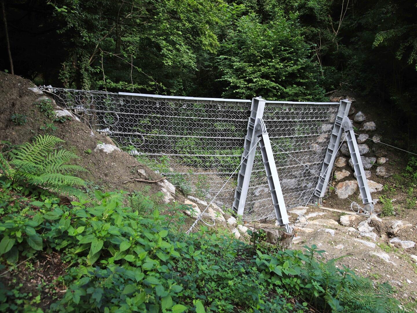 Eine mit Stahlstützen verstärkte Barriere aus Metall und Drahtgeflecht steht in einem bewaldeten Gebiet, umgeben von Grün und Felsen, und soll verhindern, dass Geröll oder Erdrutsche den Weg erreichen.