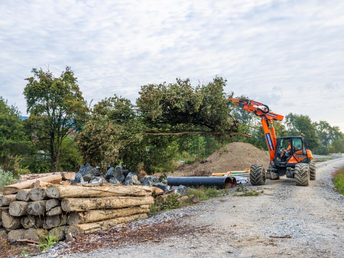 Ein orangefarbener Bagger hebt einen großen Baum auf einer Schotterstraße in der Nähe von Baumstämmen, Steinen und Rohren an. Im Hintergrund sind grüne Bäume und ein bewölkter Himmel zu sehen.