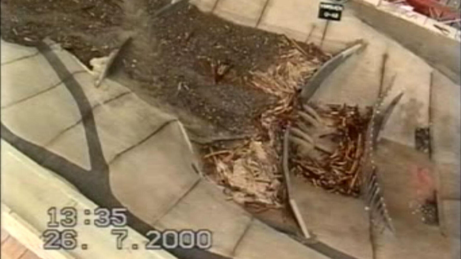 Ein Modell simuliert einen Erdrutsch auf einer Betonkonstruktion, wobei Schutt und Erde über die Barrieren schwappen. Das Bild ist auf den 26. Juli 2000, 13:35 Uhr, datiert, wie der Zeitstempel unten links zeigt.