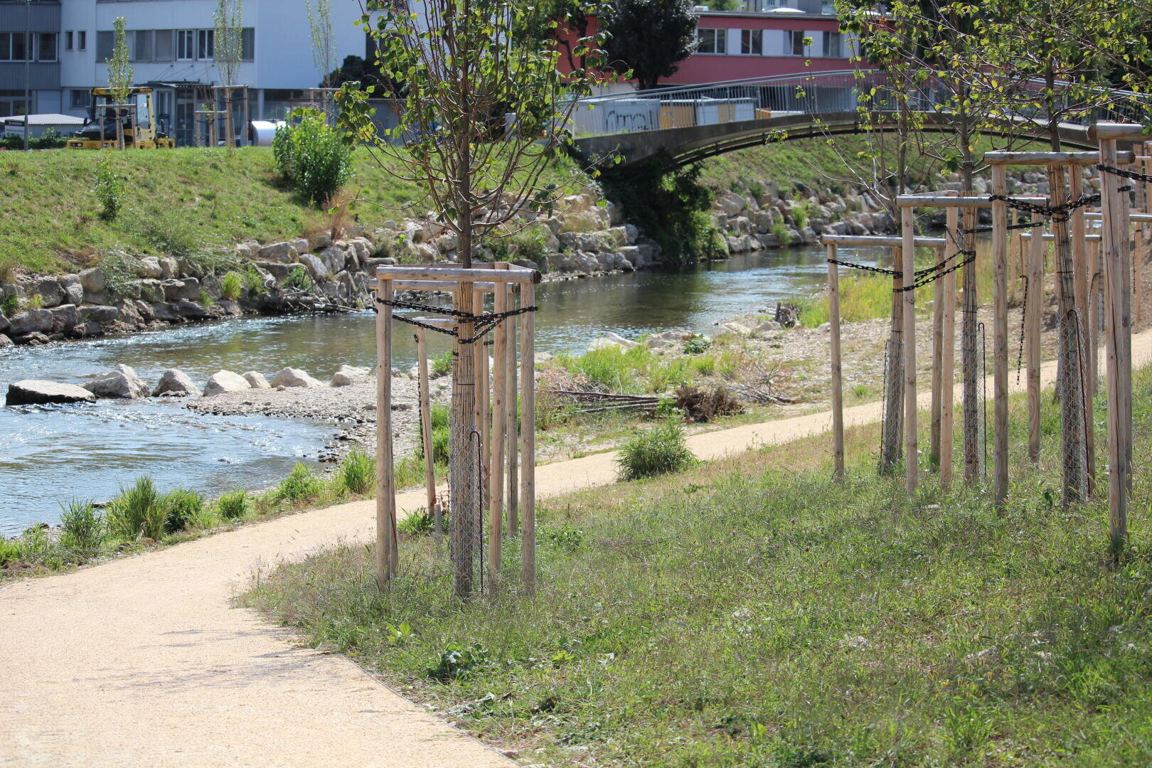 Ein mit jungen, gestützten Bäumen gesäumter Uferweg führt entlang eines Baches, wobei an einem sonnigen Tag im Hintergrund Gebäude und eine kleine Brücke zu sehen sind.