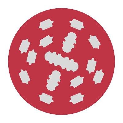 Logo Sonderschau «A2 Zweite Röhre Gotthard»