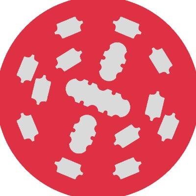 Logo Sonderschau «A2 Zweite Röhre Gotthard»