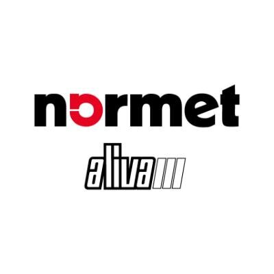 Logo Normet International Ltd